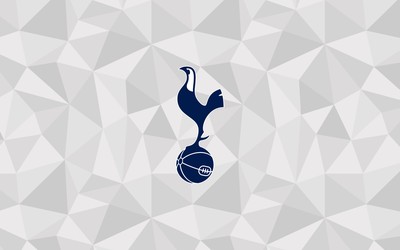 爱游戏体育热评-凯恩赛后与对手交换球衣